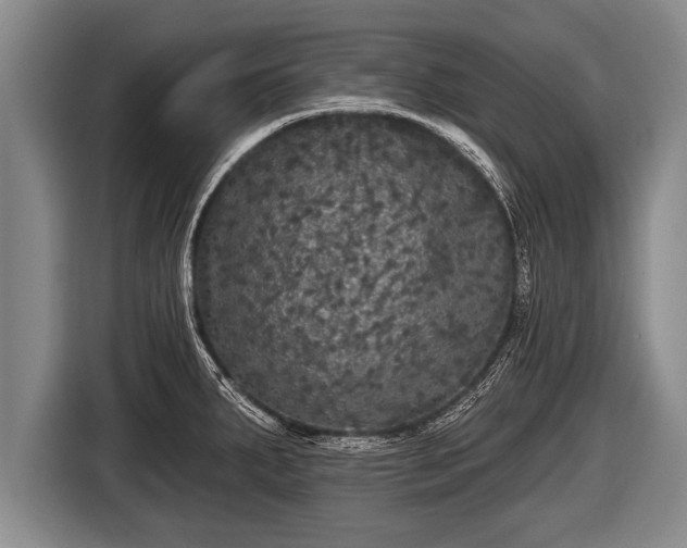 X0000116851287200912291233