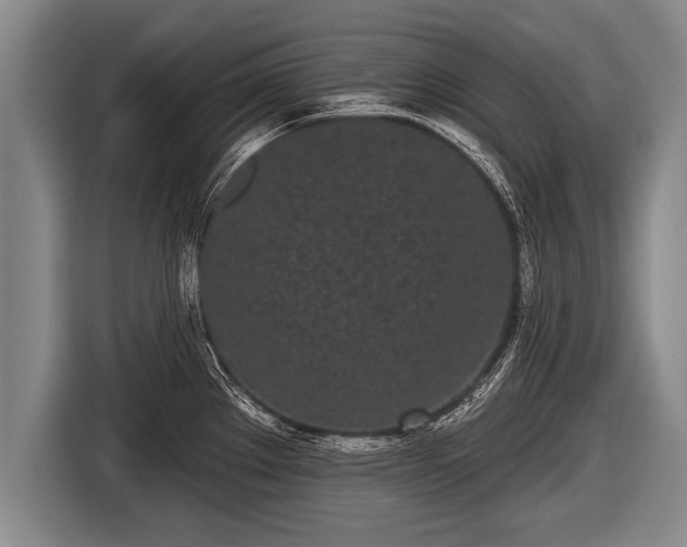 X0000116851289200912291233
