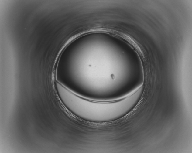 X0000116851292200912291233
