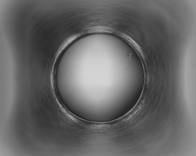 X0000116851293200912291233