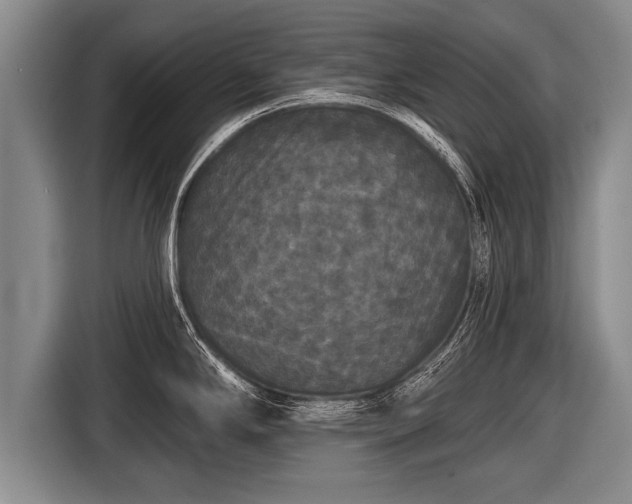 X0000116851294200912291232