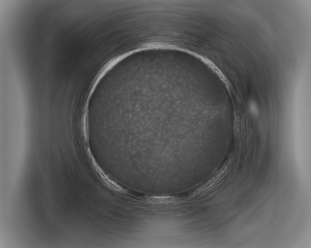 X0000116851295200912291232