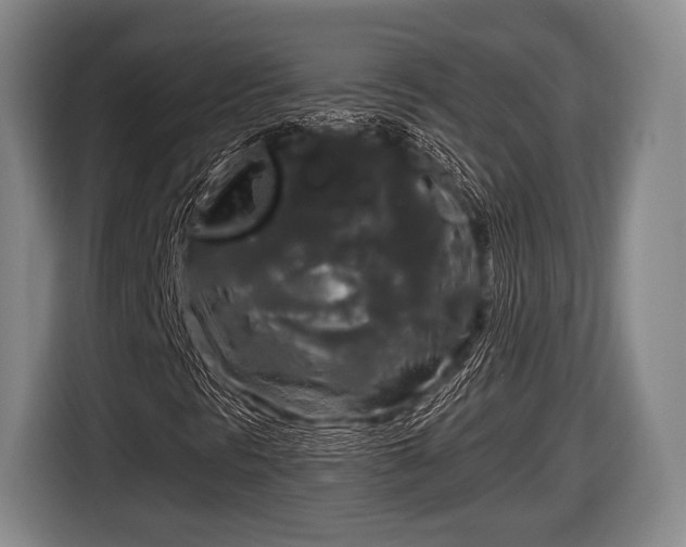 X0000116851297200912291232