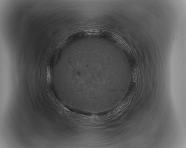 X0000116851298200912291232