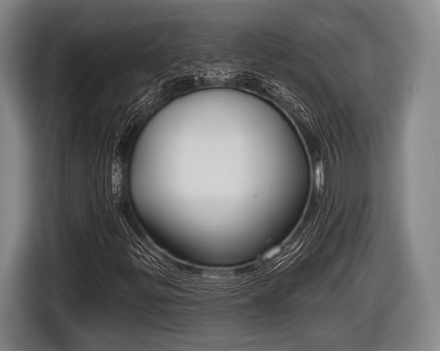 X0000116851299200912291232