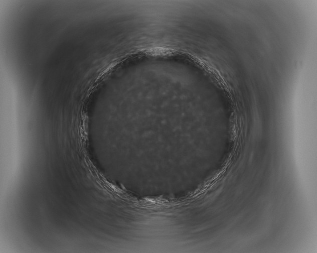 X0000116851301200912291232