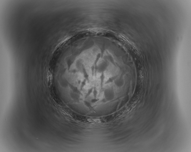 X0000116851302200912291232