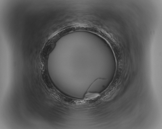 X0000116851303200912291232