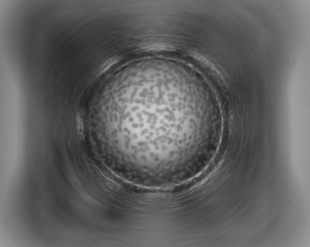 X0000116851305200912291232