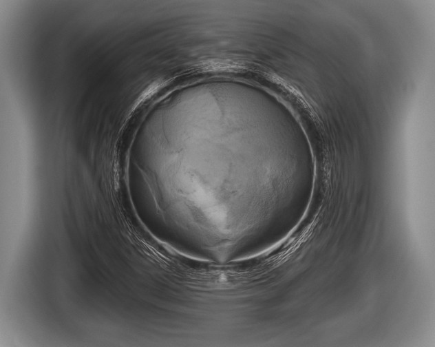 X0000116851306200912291232