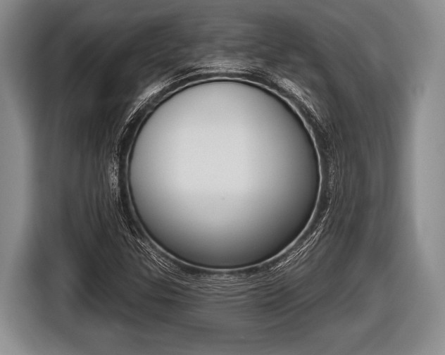 X0000116851307200912291232