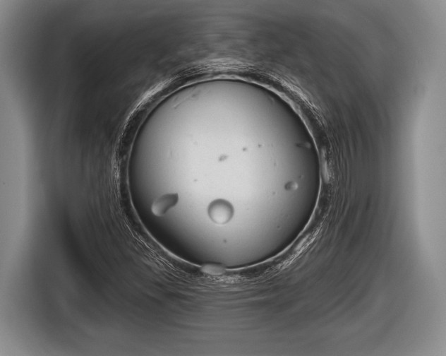 X0000116851309200912291232