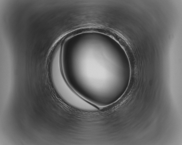 X0000116851310200912291232