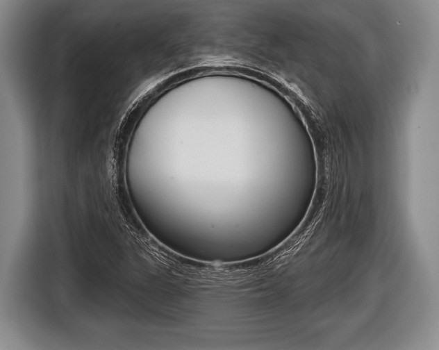 X0000116851311200912291232