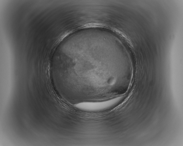 X0000116851313200912291232