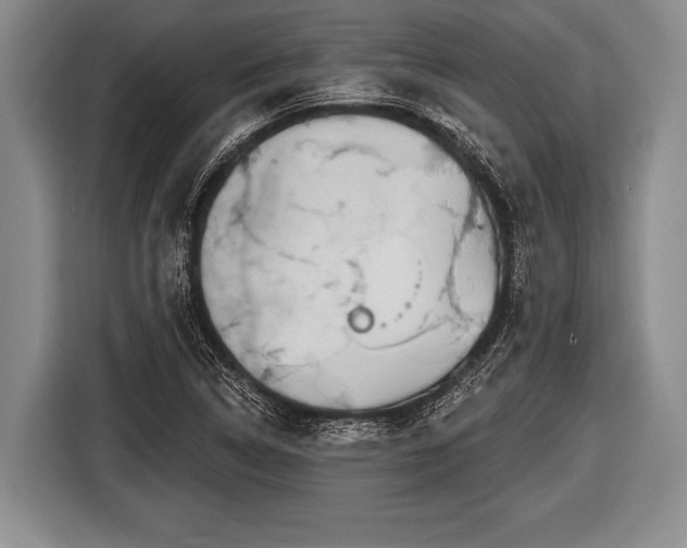 X0000116851314200912291232