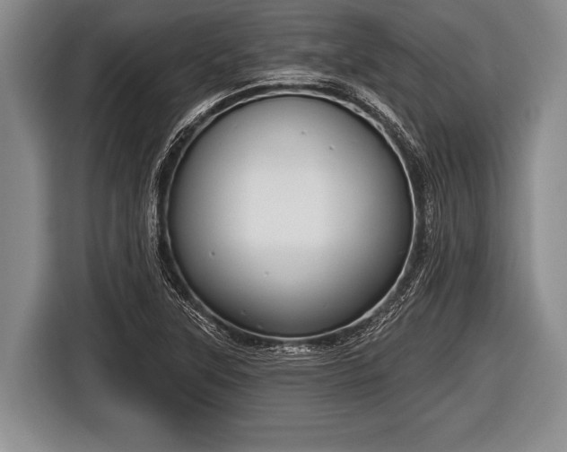 X0000116851315200912291232