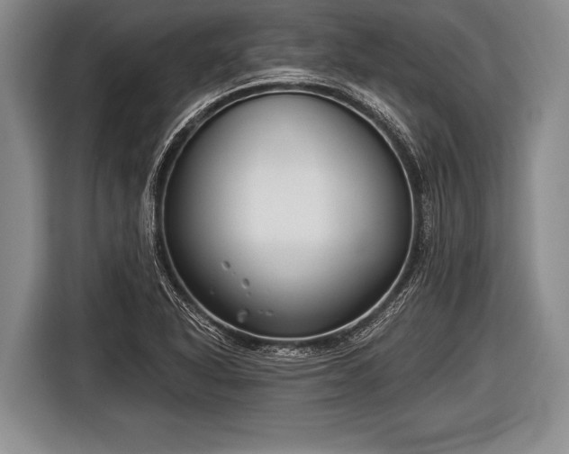 X0000116851318200912291232
