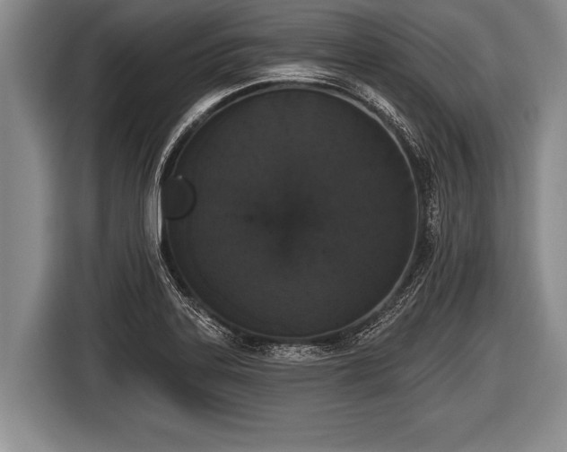 X0000116851323200912291232