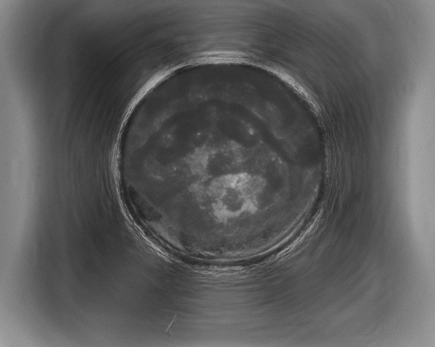 X0000116851325200912291232