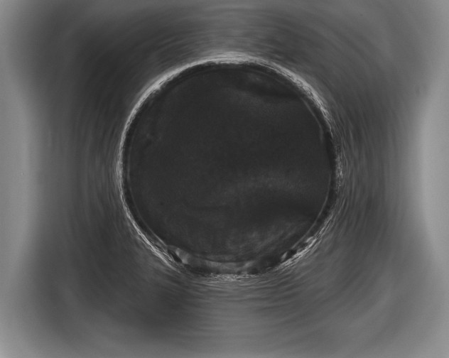 X0000116851327200912291232