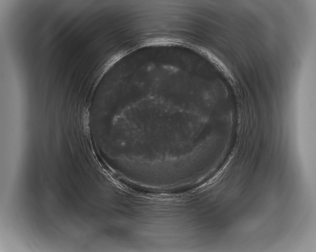 X0000116851329200912291232