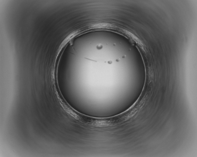 X0000116851330200912291232