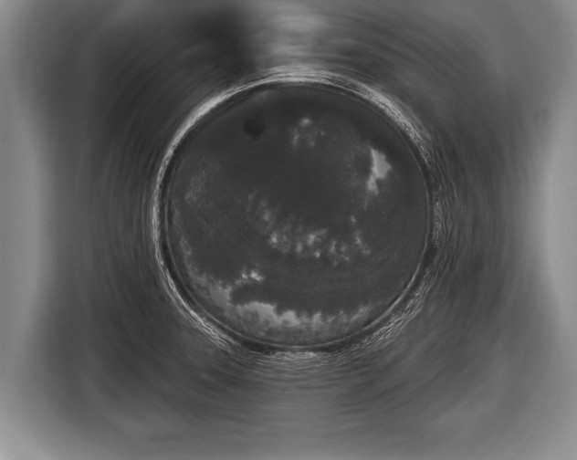 X0000116851331200912291232