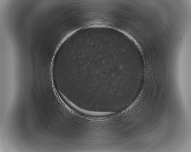 X0000116851333200912291232