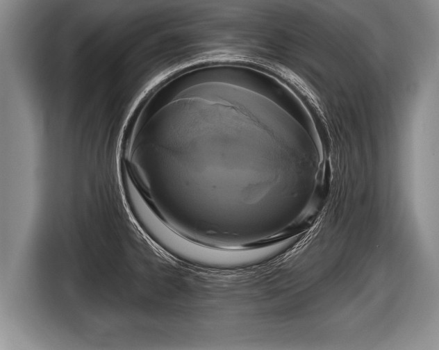 X0000116851334200912291232