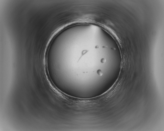 X0000116851335200912291232
