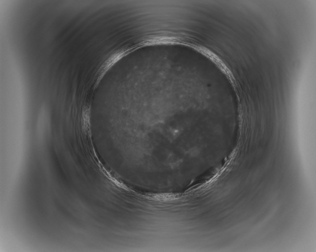 X0000116851337200912291232