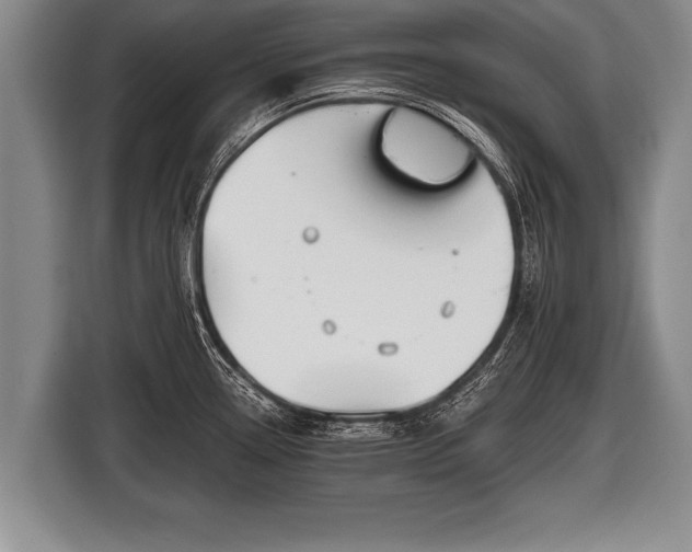 X0000116851338200912291232