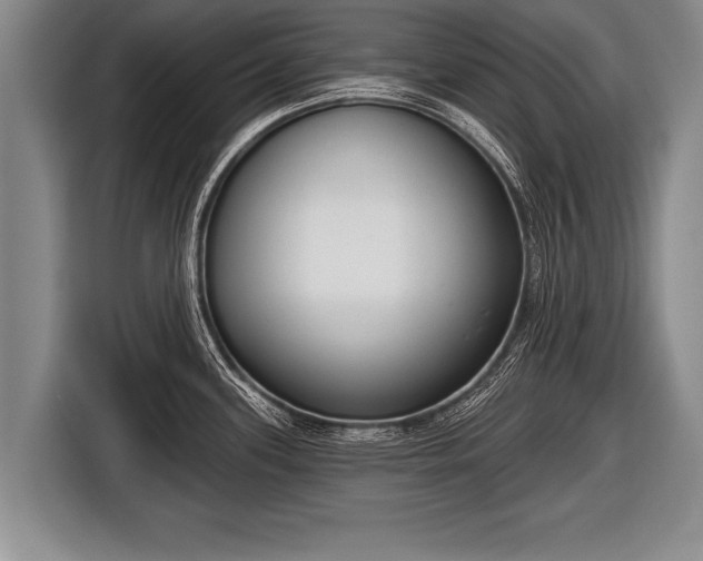 X0000116851339200912291232