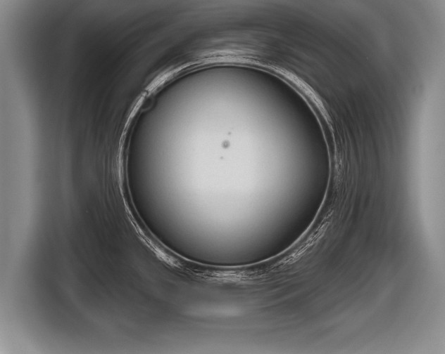 X0000116851341200912291232