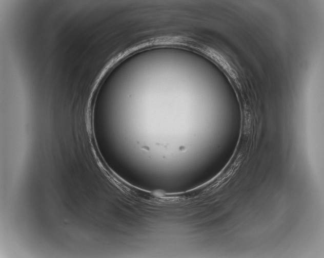X0000116851342200912291232