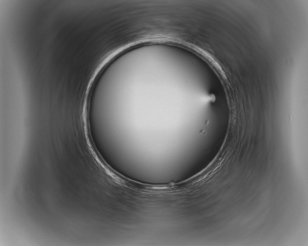 X0000116851343200912291232