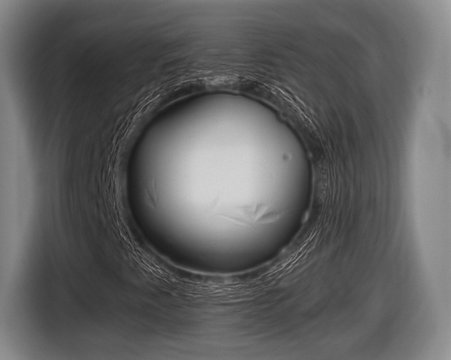 X0000116851345200912291232