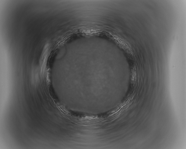 X0000116851346200912291232