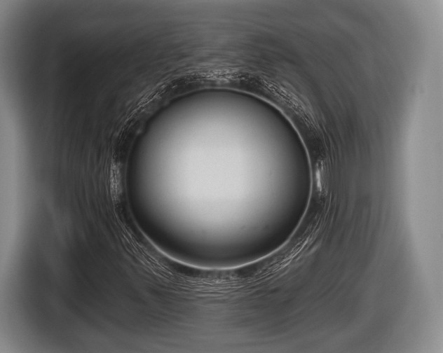 X0000116851347200912291232