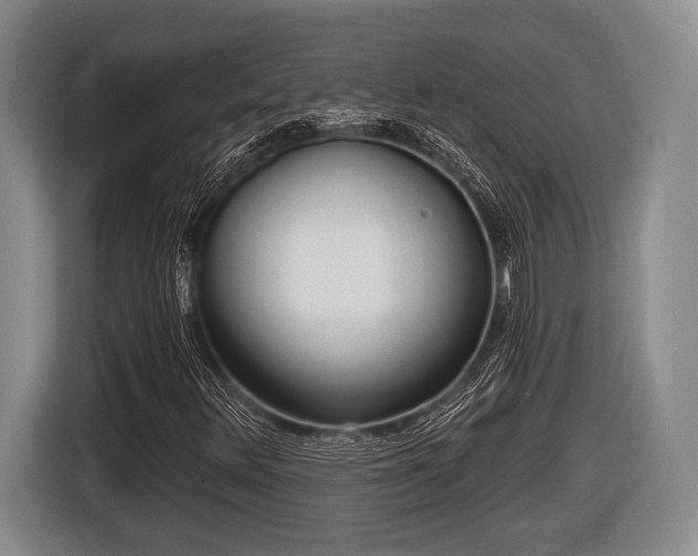 X0000116851348200912291232
