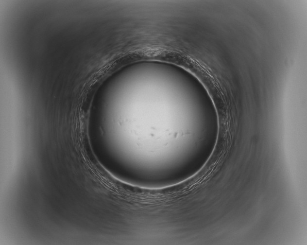 X0000116851349200912291232