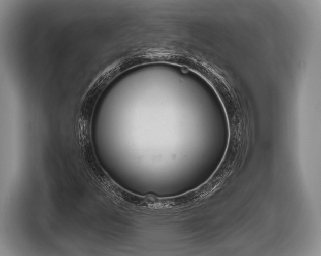 X0000116851351200912291232