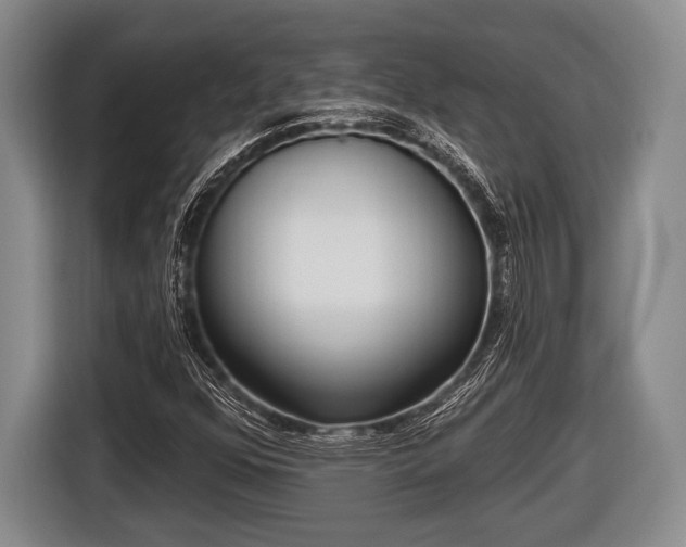 X0000116851352200912291232