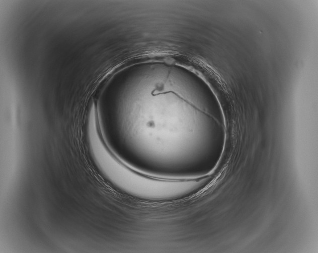 X0000116851353200912291232