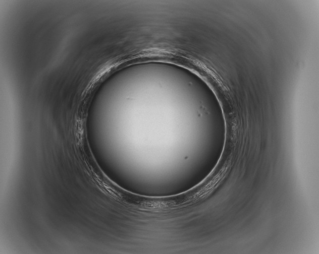 X0000116851355200912291232