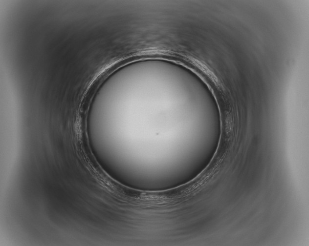 X0000116851356200912291232