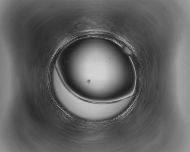 X0000116851357200912291232