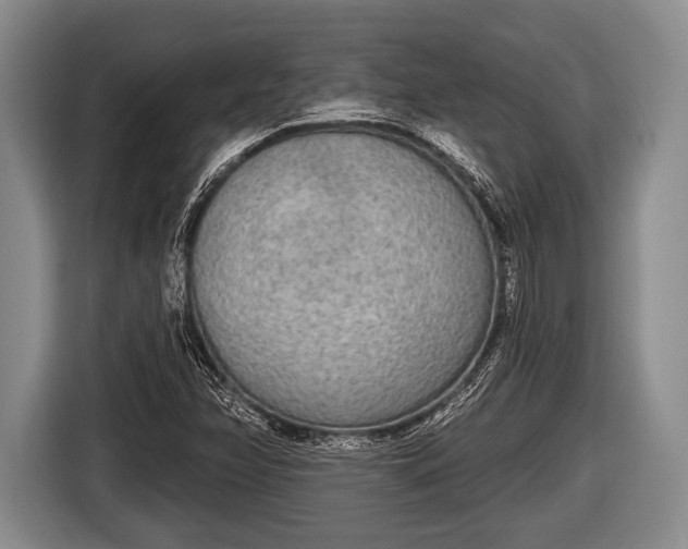 X0000116851358200912291232