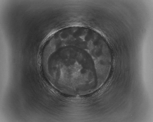 X0000116851359200912291232